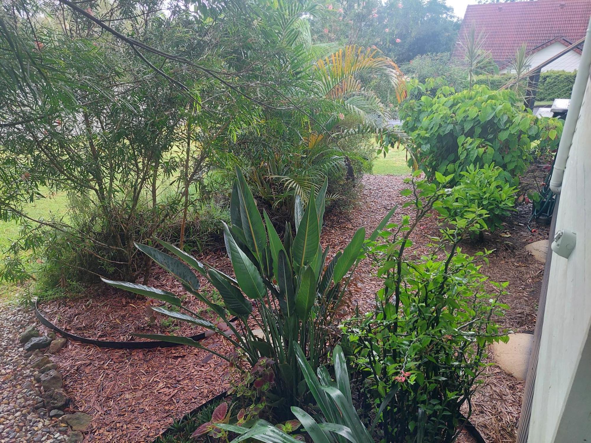 Kyogle Comfy Homestay Quarto foto